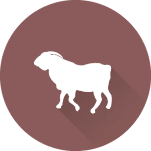saiba tudo