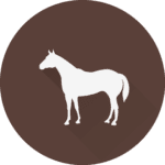 Equinos