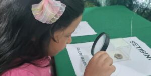 foto setibinha foto setibinha