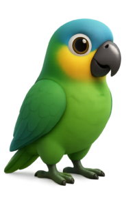 papagaio papagaio conexão sustentável