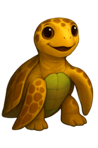 tartaruga pente tartaruga conexão sustentável